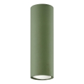 Spotlamp LAGOS 1xGU10/10W/230V 20 cm groen