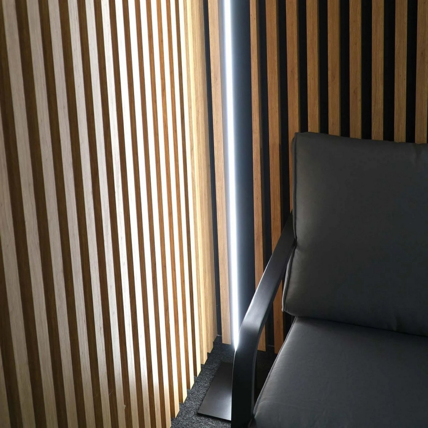 Staande LED-lamp BERNADETTA LED/28W/230V 4000K zwart