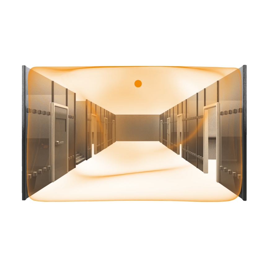 STEINEL 007850 - Bewegingsmelder Dual US COM2