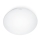 STEINEL 008383 - Luminaire LED salle de bain avec détecteur RS16LED LED/9,5W/230V IP44