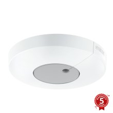 STEINEL 033651 - Schemerschakelaar Light Sensor Dual KNX wit