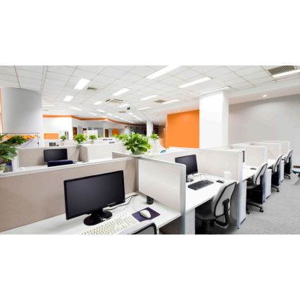 Steinel 057473 - Aanwezigheidsdetector DualTech DALI-2 wit