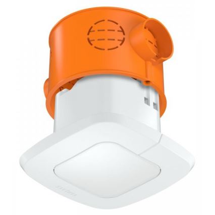 Steinel 057510 - Détecteur de présence IR Quattro SLIM XS 4m DALI-2 blanc