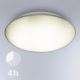 STEINEL 057596- LED Plafond Lamp voor Buiten met Sensor QUATTRO LED/14W/230V IP54 3000K