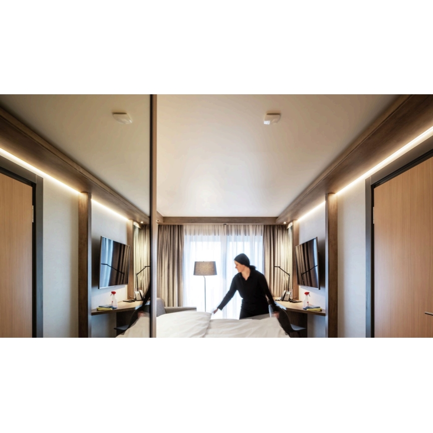 STEINEL 057923 - Bewegingssensor TRUE PRESENCE COM1