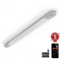 Steinel 058739 - Lumière LED industrielle avec détecteur RS PRO 5150SC LED/42W/230V IP66 4000K