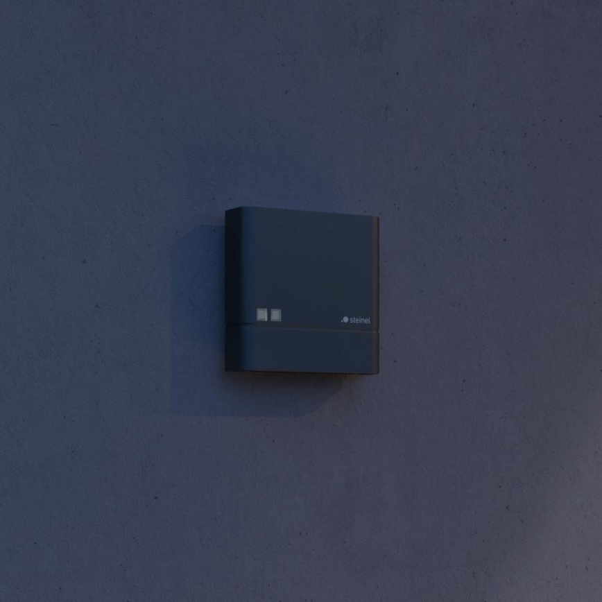 Steinel 066116 - Schemersensor NIGHTMATIQ Plus IP54 antraciet