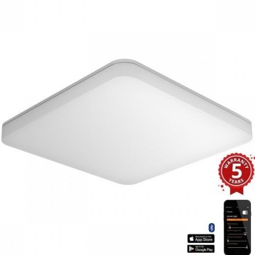 Steinel 067748 - Plafonnier LED à intensité variable avec détecteur RS PRO R20 PLUS 15,86W/230V IP40 3000K