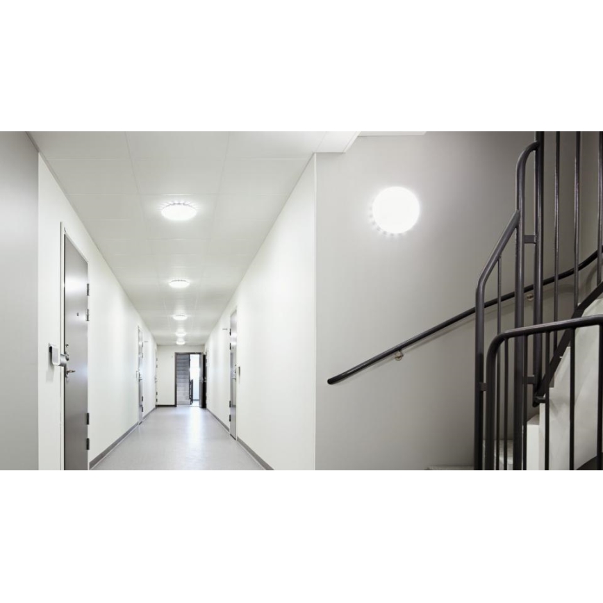 Steinel 068042 - LED Plafondlamp met sensor RS PRO S30 SC 25.8W/230V 4000K