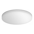 Steinel 068448 - Lot 5x Plafonnier à intensité variable avec détecteur RS PRO R20 BASIC SC LED/15,4W/230V 4000K IP40