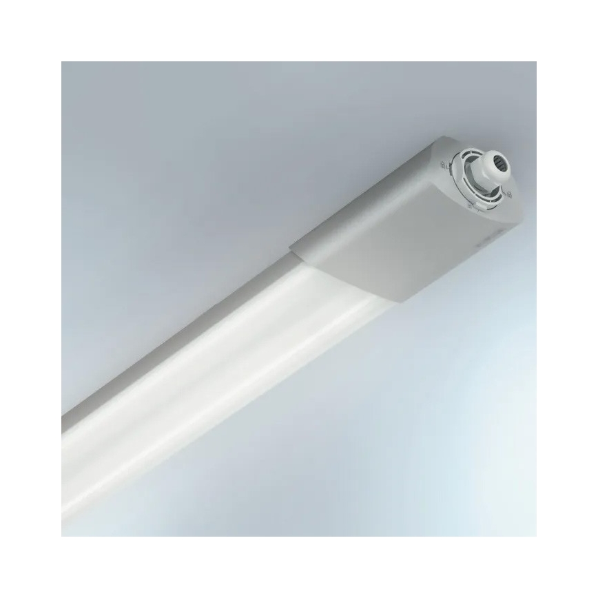 Steinel 079185-Luminaire industriel avec détecteur RSPRO 5100SC LED/31W/230V IP66