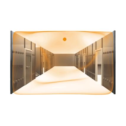 Steinel 079604 - Aanwezigheidsdetector Dual US KNX wit