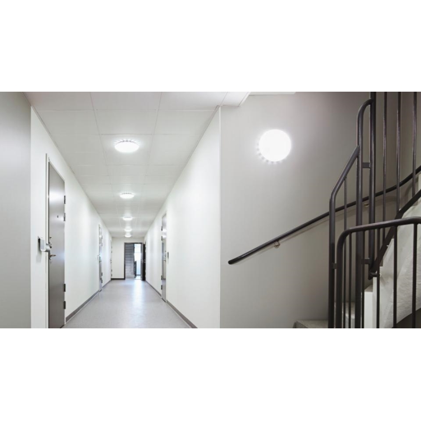 Steinel 081928 - SET 5x LED Plafondlamp met sensor RS PRO S10 SC LED/9.1W/230V 4000K