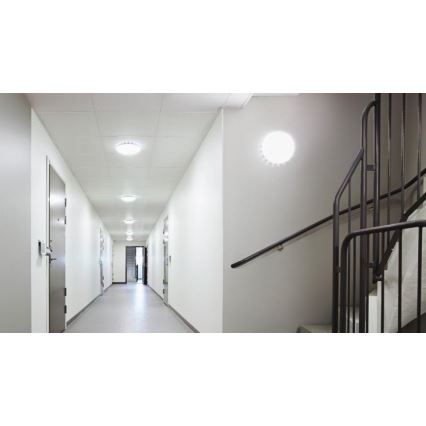 Steinel 081942 - SET 5x LED Plafondlamp met sensor RS PRO S20 SC LED/15,7W/230V 4000K