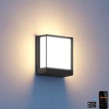 Steinel 085230 - LED Dimbare wandlamp voor buiten L40C LED/12,9W/230V IP54 antraciet