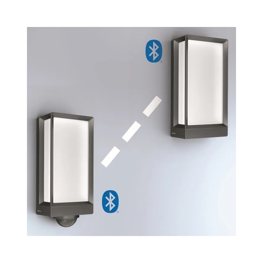 Steinel 085254 - Applique murale extérieure à intensité variable L42C LED/12,6W/230V IP54