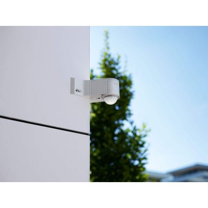 STEINEL 602710 - Infrarood muursensor voor buiten IS240 antraciet IP54