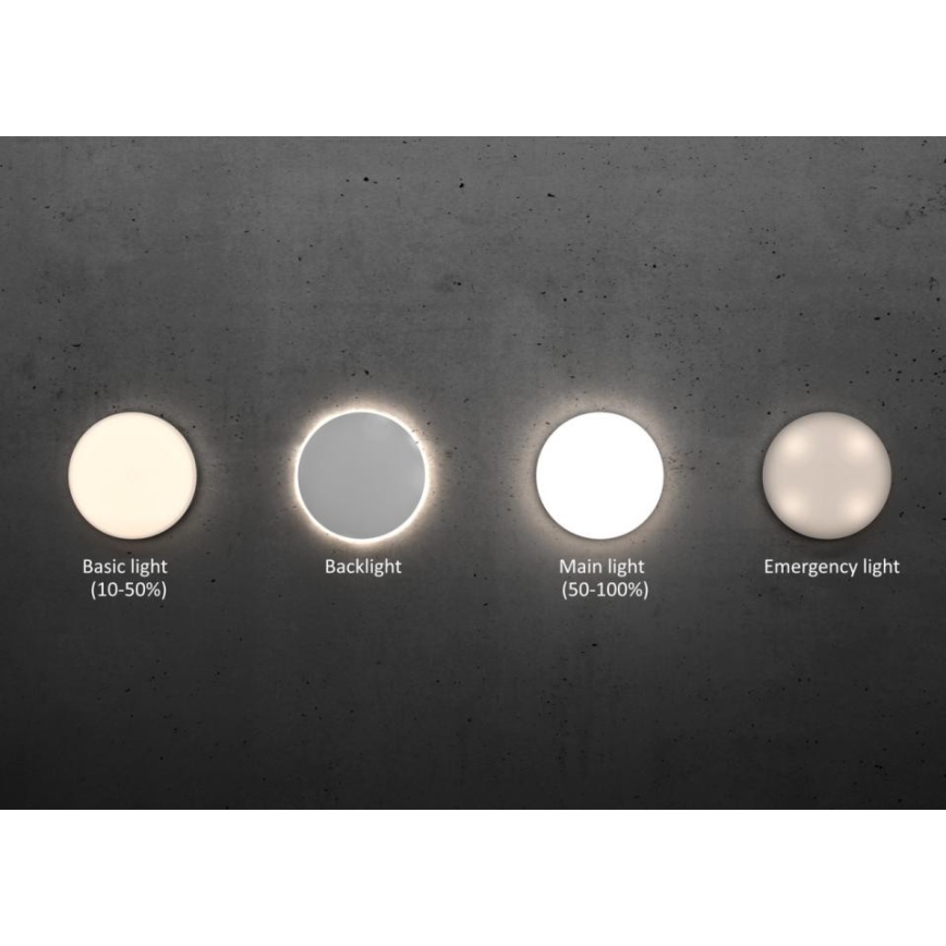 Steinel - Dimbare LED plafondlamp met sensor RSPROR20BASIC 15,3W/230V IP40 4000K