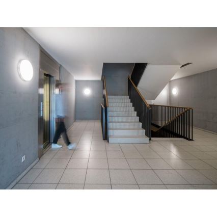 Steinel - Plafonnier LED à intensité variable avec détecteur RSPROR20BASICQ 15,3W/230V IP40 3000K