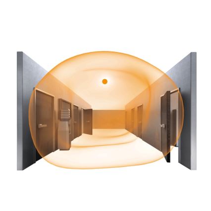 Steinel 067779 - Plafonnier à intensité variable LED avec détecteur RS PRO R30 Q plus SC 23,9W/230V 4000K IP40