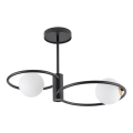 Suspension avec tige AQUA 2xG9/12W/230V noir