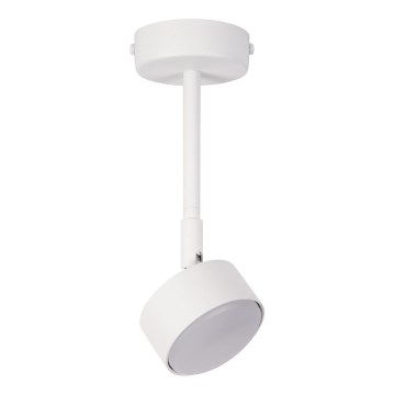 Suspension-barre NEMO 1xGX53/12W/230V 24 cm blanc