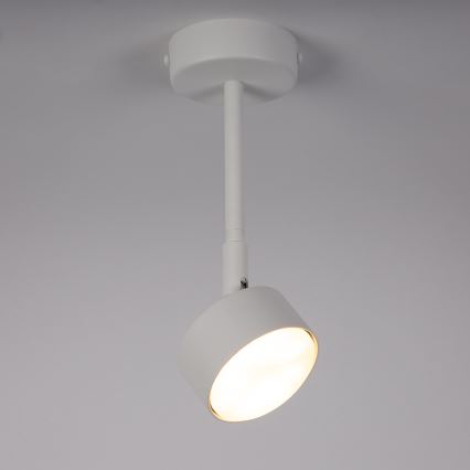 Suspension-barre NEMO 1xGX53/12W/230V 24 cm blanc