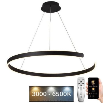 Suspension filaire à intensité variable LED/100W/230V 3000-6500K d. 80 cm + Télécommande