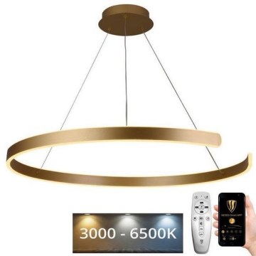 Suspension filaire à intensité variable LED/100W/230V 3000-6500K d. 80 cm + Télécommande