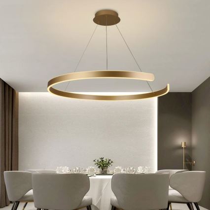 Suspension filaire à intensité variable LED/100W/230V 3000-6500K d. 80 cm + Télécommande