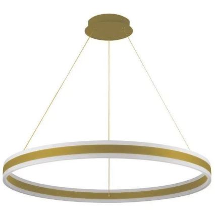 Suspension filaire à intensité variable LED/110W/230V 3000-6500K d. 80 cm + Télécommande