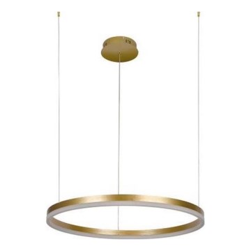 Suspension filaire à intensité variable LED/42W/230V 3000-6500K + Télécommande