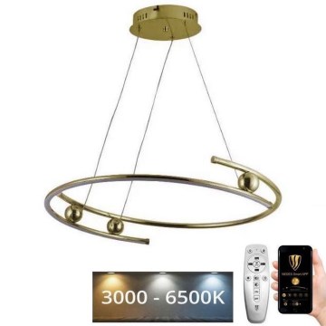 Suspension filaire à intensité variable LED/50W/230V 3000-6500K d. 60 cm + Télécommande