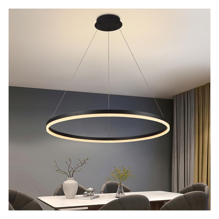 Suspension filaire à intensité variable LED/55W/230V 3000-6500K + télécommande