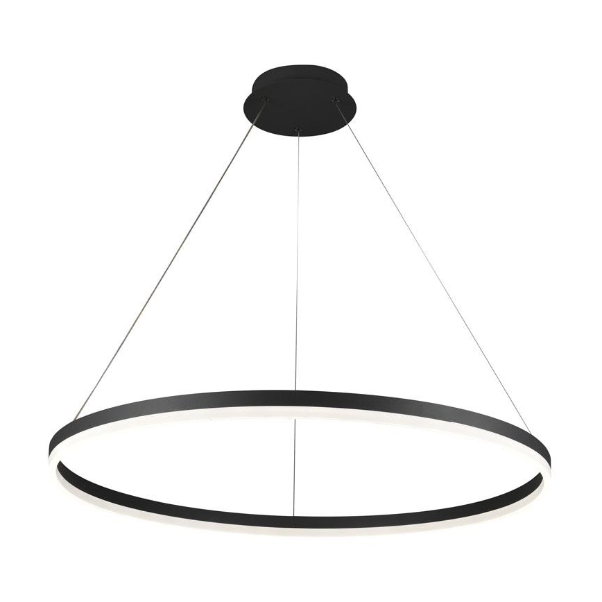 Suspension filaire à intensité variable LED/55W/230V 3000-6500K + télécommande
