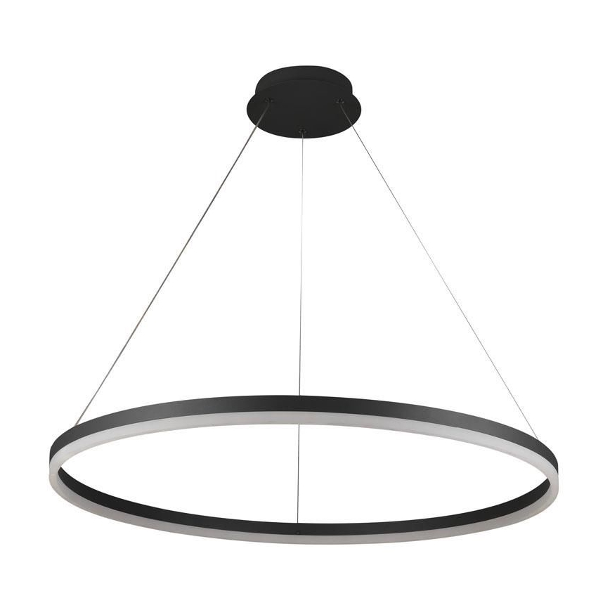 Suspension filaire à intensité variable LED/55W/230V 3000-6500K + télécommande