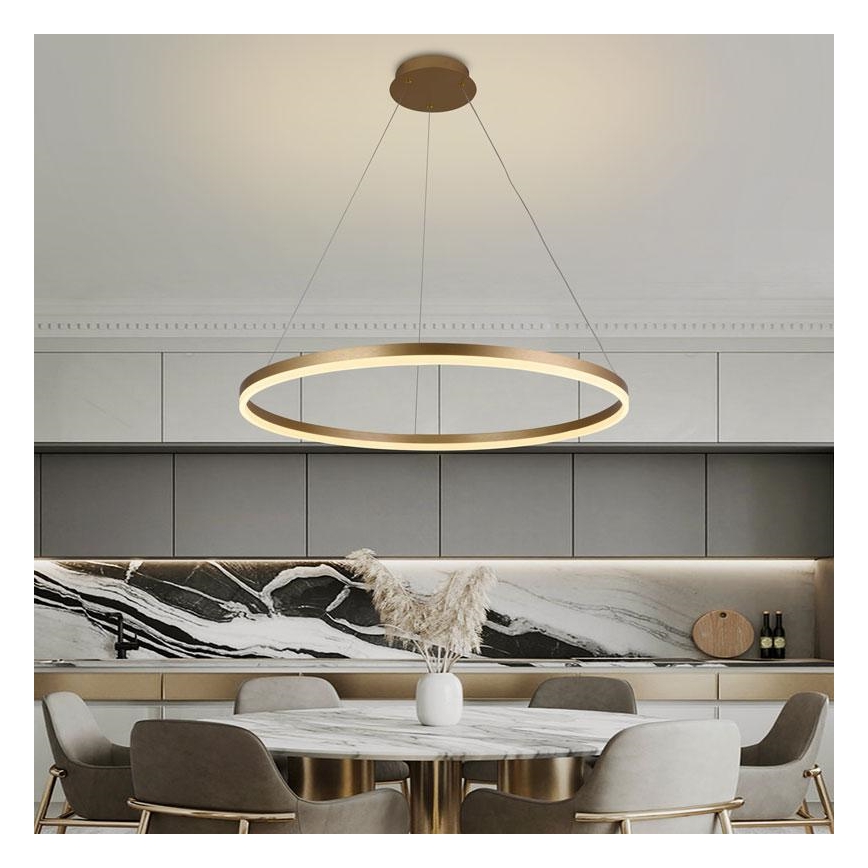 Suspension filaire à intensité variable LED/55W/230V 3000-6500K + télécommande