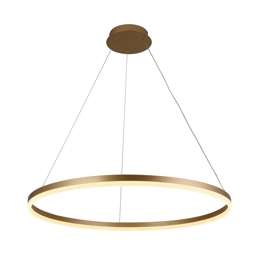 Suspension filaire à intensité variable LED/55W/230V 3000-6500K + télécommande
