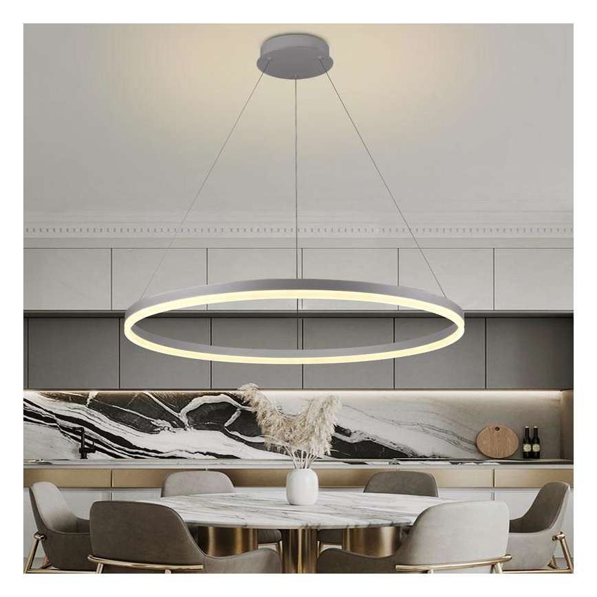 Suspension filaire à intensité variable LED/55W/230V 3000-6500K d. 80 cm + Télécommande