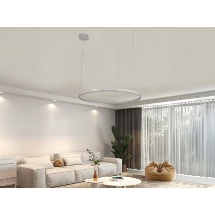 Suspension filaire à intensité variable LED/55W/230V 3000-6500K + Télécommande