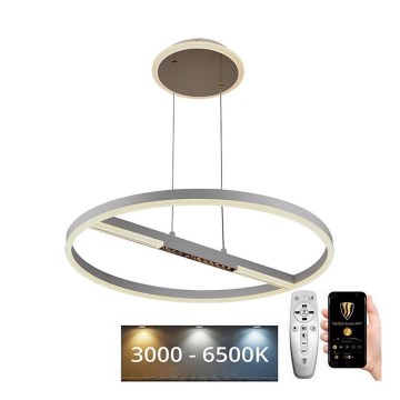 Suspension filaire à intensité variable LED/75W/230V 3000-6500K d. 60 cm + Télécommande