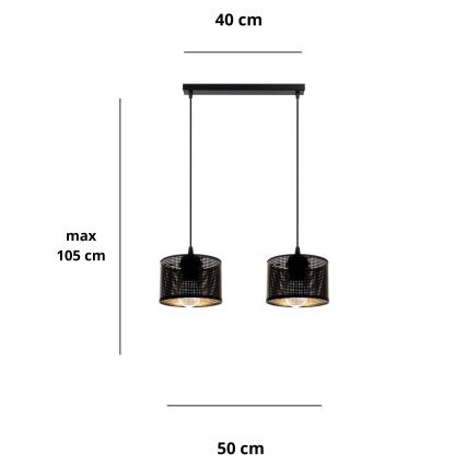 Suspension filaire ALDO 2xE27/60W/230V noir