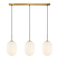 Suspension filaire ALIAS 3xE14/40W/230V doré