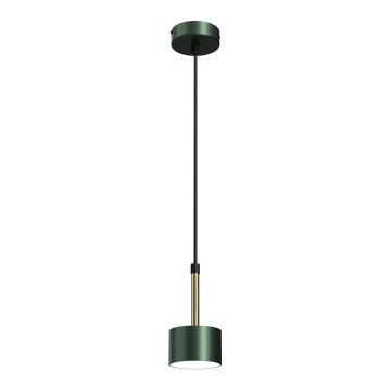 Suspension filaire ARENA 1xGX53/11W/230V vert/gold