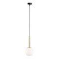 Suspension filaire DAISY 1xG9/12W/230V d. 14 cm doré/noir/blanc