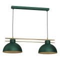 Suspension filaire ESTATE 2xE27/15W/230V vert
