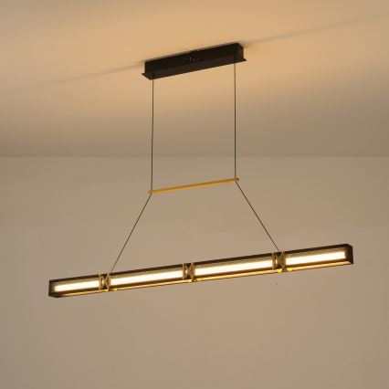 Suspension filaire LED/21W/230V 3000K 45x120 cm