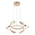 Suspension filaire LED/24W/230V 3000K 50x120 cm