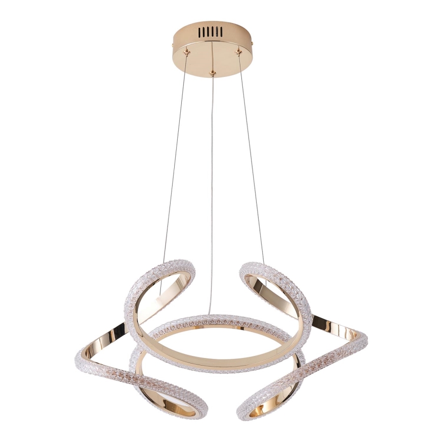 Suspension filaire LED/24W/230V 3000K 50x120 cm