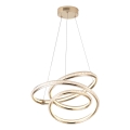 Suspension filaire LED/38W/230V 3000K 50x50 cm